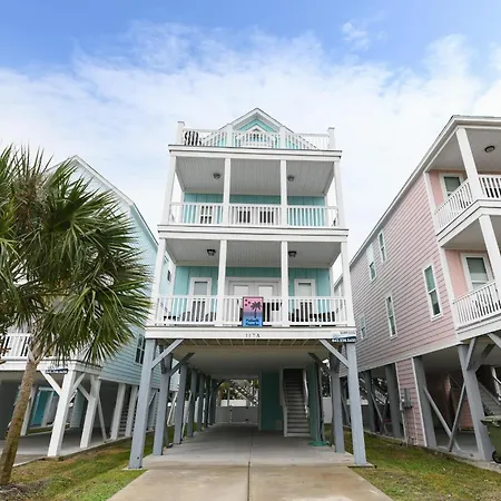 Palmetto Paradise-3